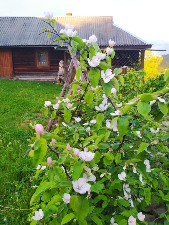 Starovitska Hata - Ethno-Cottage Verkhovyna Exterior foto