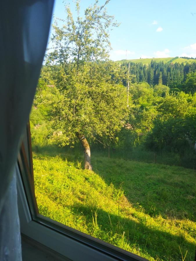 Starovitska Hata - Ethno-Cottage Verkhovyna Exterior foto